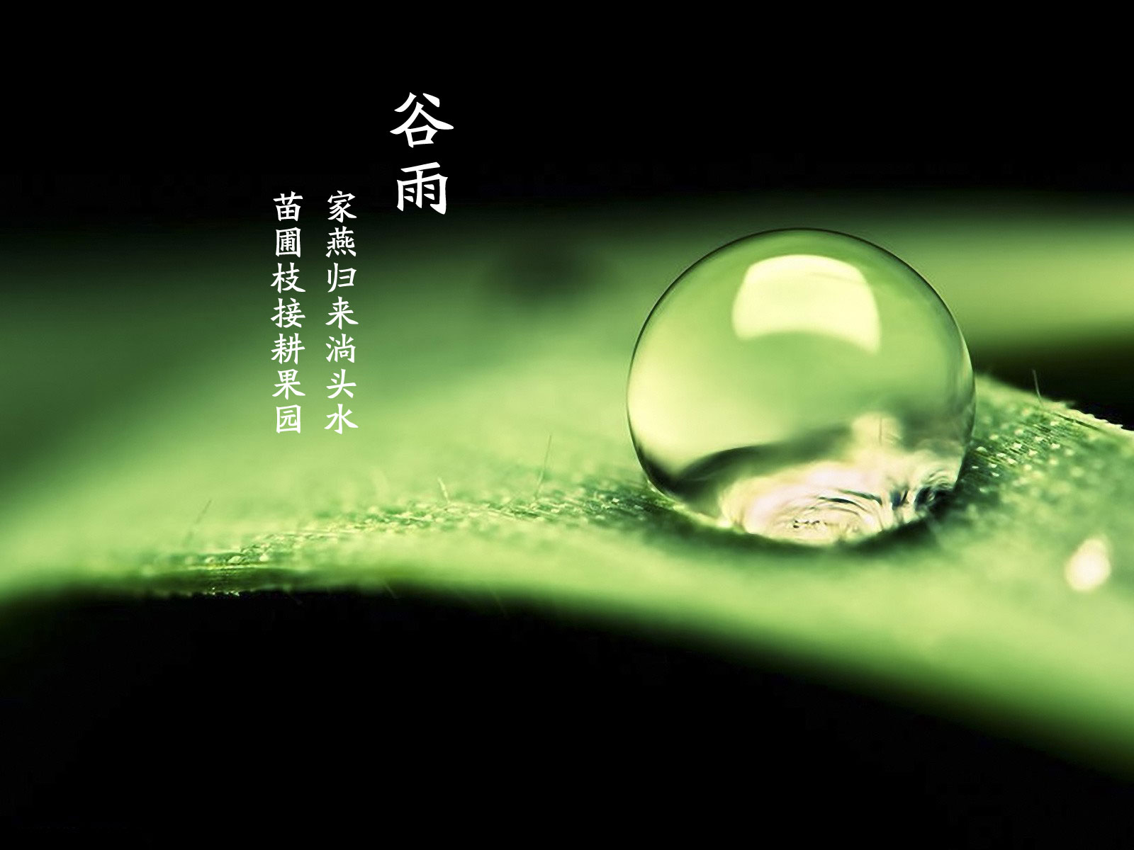 谷雨已至您還在猶豫嗎？